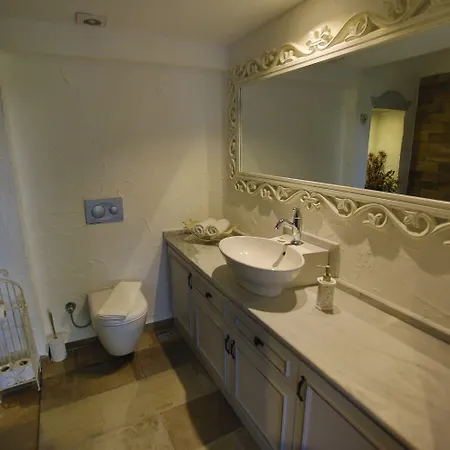 S3 Orange 3* 올루데니스