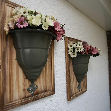 S3 Orange 3* 올루데니스