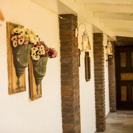 S3 Orange 올루데니스