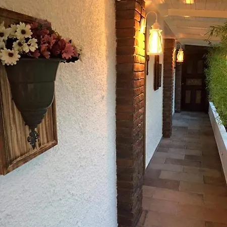 S3 Orange 올루데니스